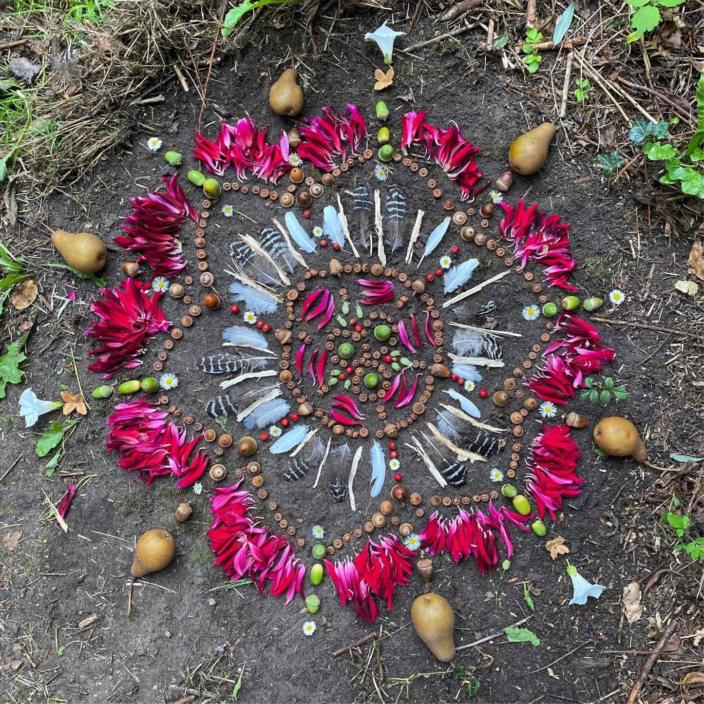 Vergeving en Herstel kaart