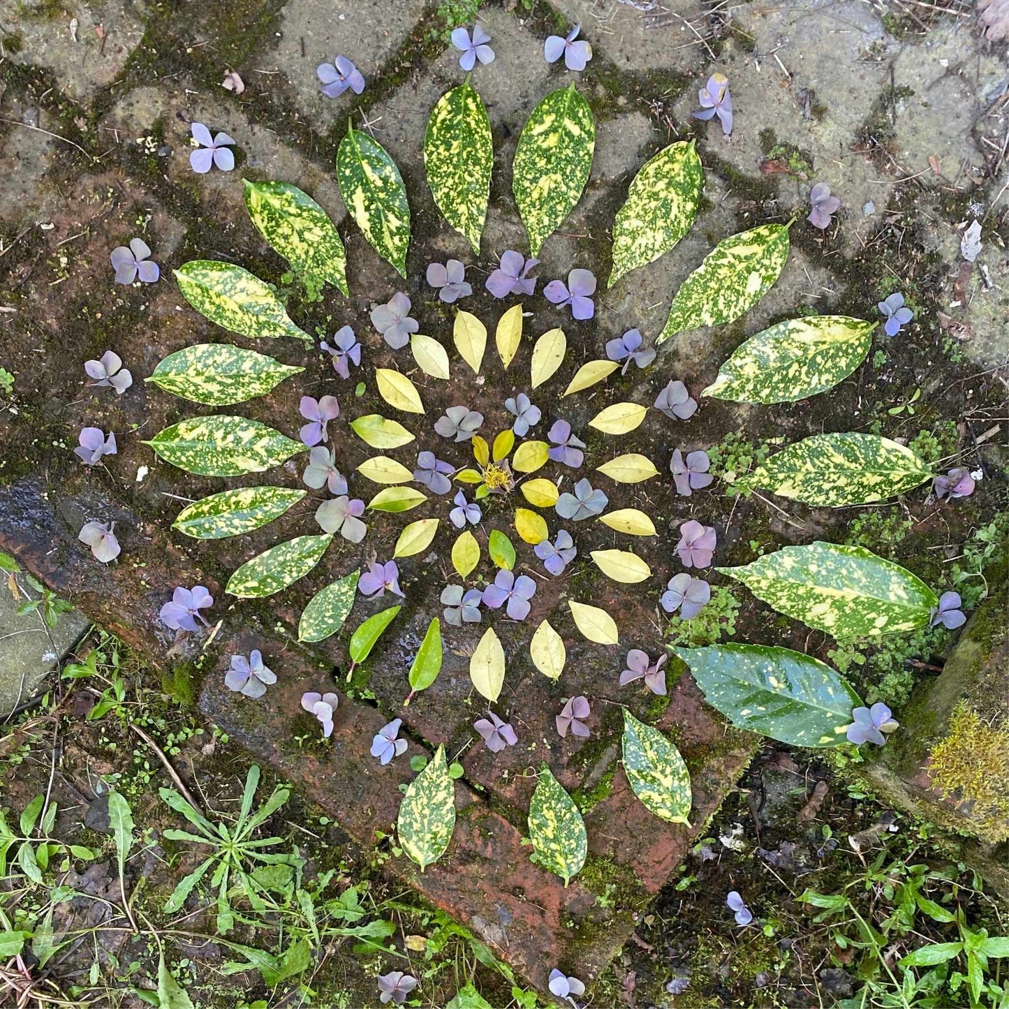 Overgave en vertrouwen kaart