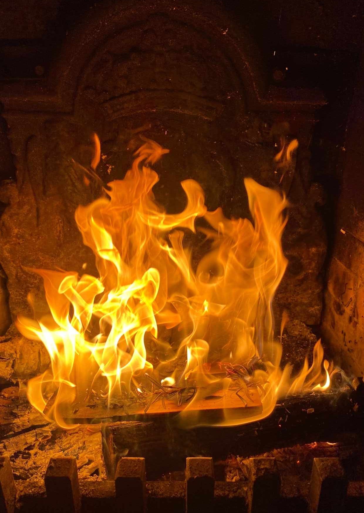 Portaal Postkaart - Feniks vuur