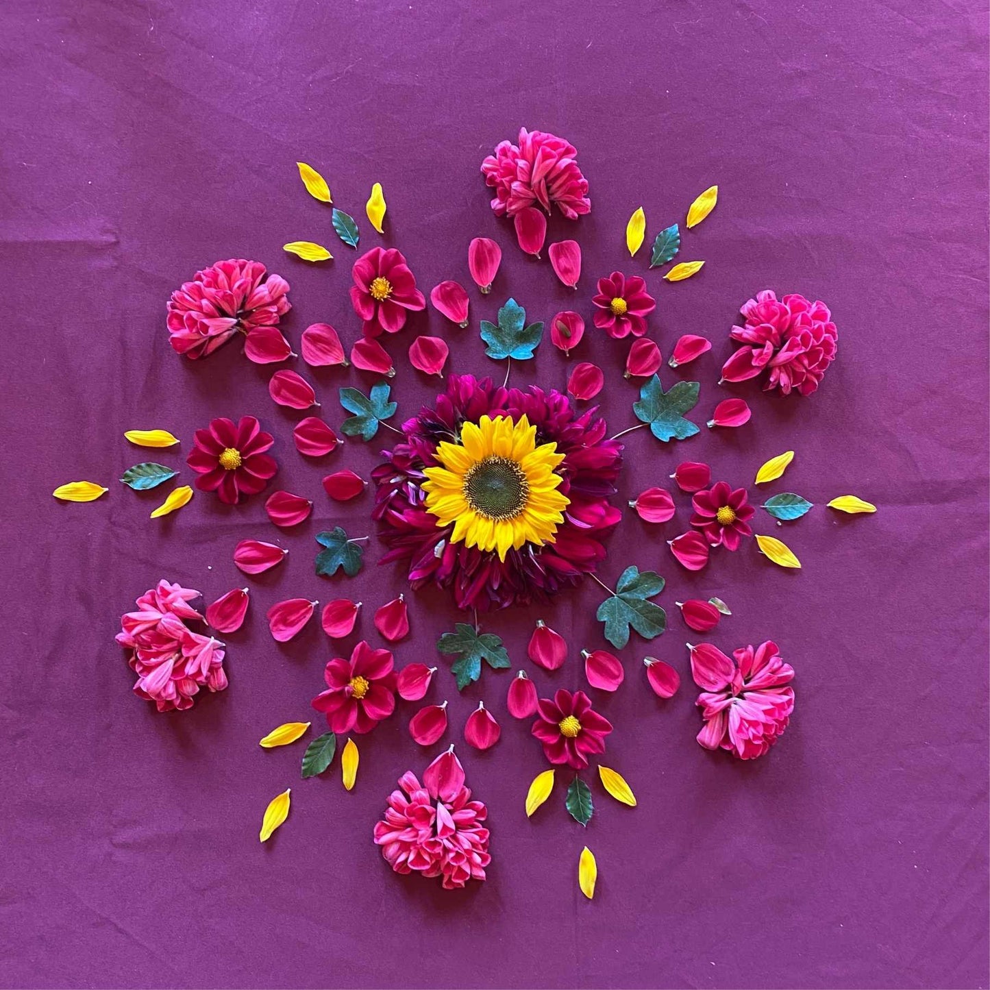 Welkom thuis kaart, laat liefde stromen