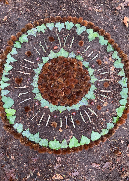 Portaal Postkaart - grenzen