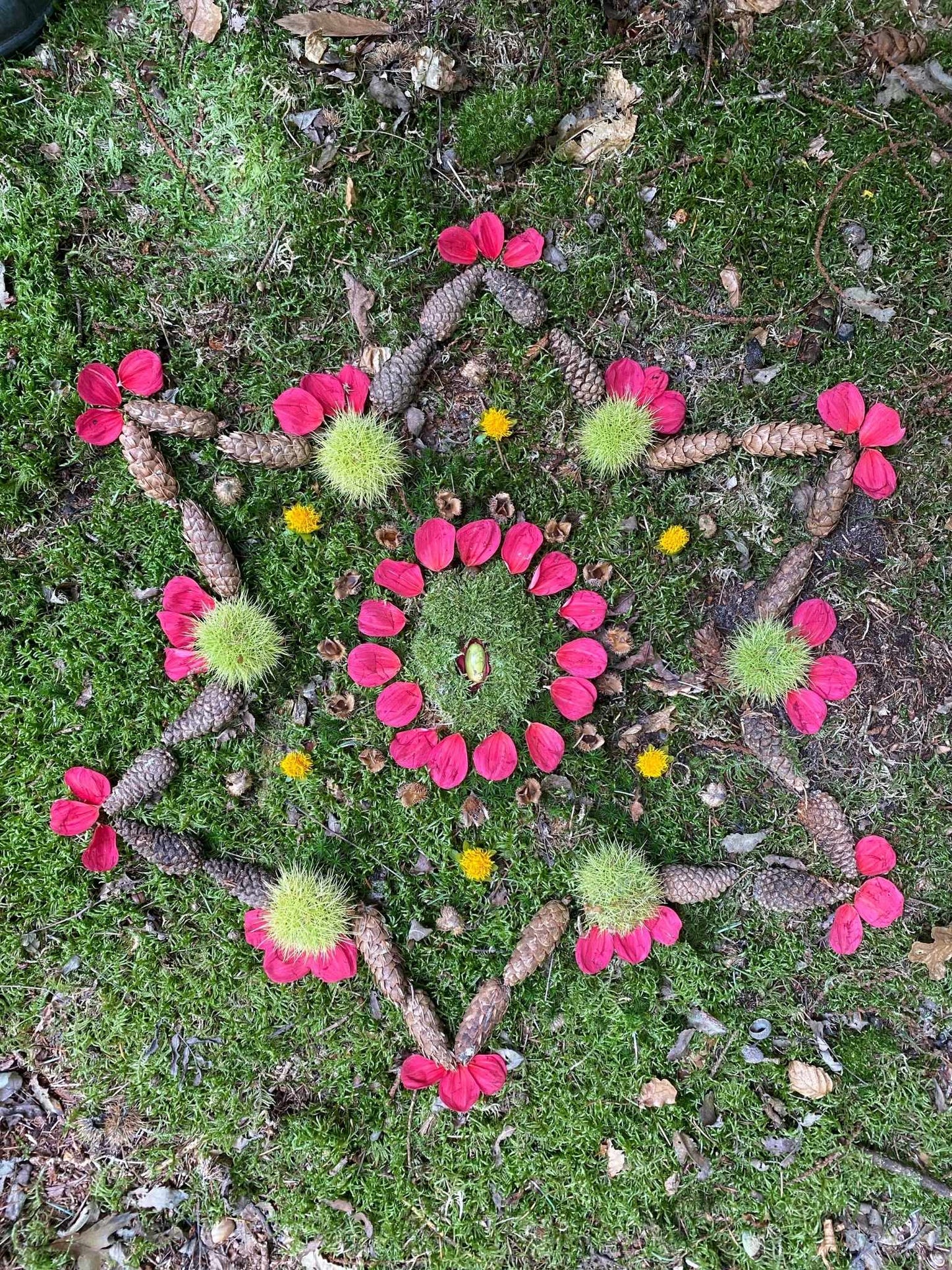 Portaal Postkaart - zachtheid