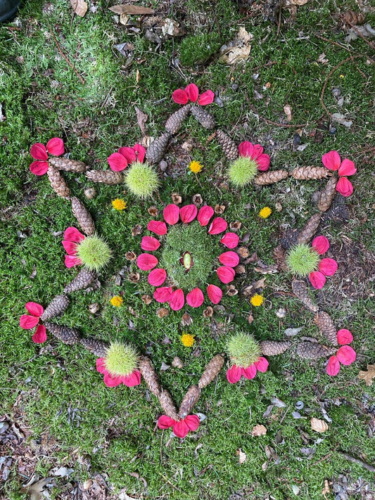 Portaal Postkaart - zachtheid