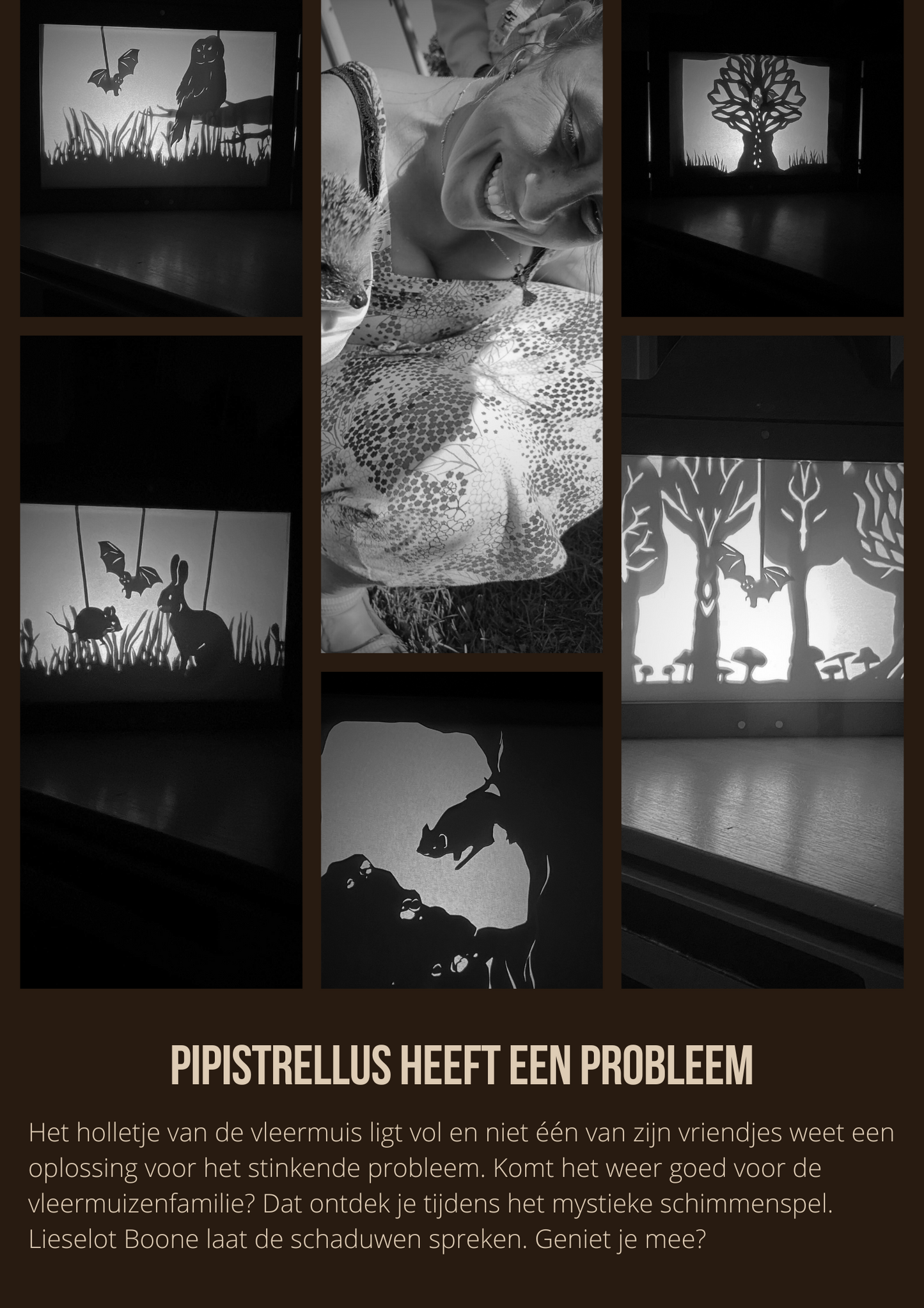 Pipistrellus has a problem- Shadow play