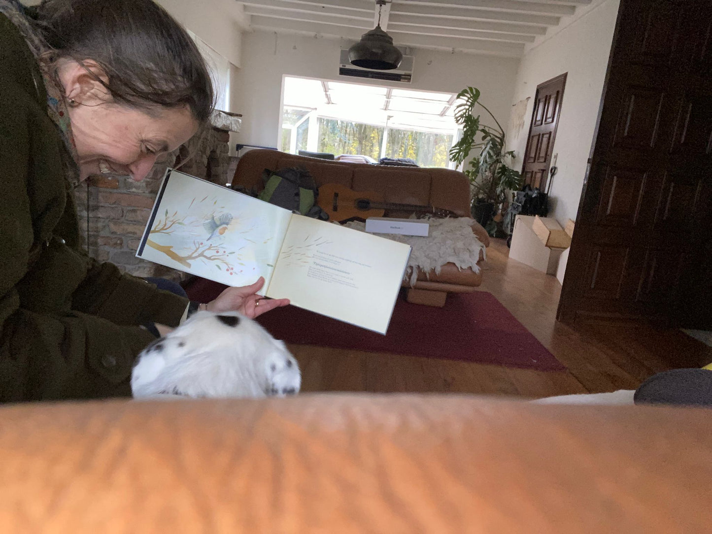 Rietje waait naar zee -prentenboek